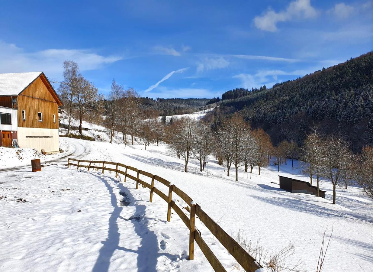 Ferienhaus Grimme - 350M2, 18 Betten - Mit Indoorspielplatz, Pool, Grosser Terrasse, Grill, Sauna, Kicker, Dart, Uvm - Ideal Fuer Familien 슈말렌부르크 외부 사진