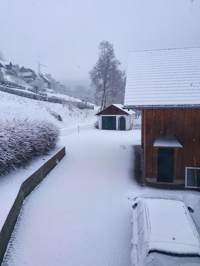 Ferienhaus Grimme - 350M2, 18 Betten - Mit Indoorspielplatz, Pool, Grosser Terrasse, Grill, Sauna, Kicker, Dart, Uvm - Ideal Fuer Familien 슈말렌부르크 외부 사진