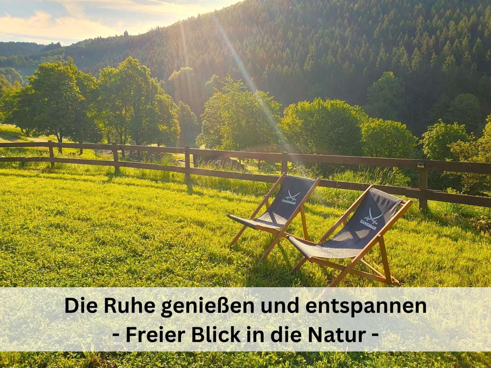 Ferienhaus Grimme - 350M2, 18 Betten - Mit Indoorspielplatz, Pool, Grosser Terrasse, Grill, Sauna, Kicker, Dart, Uvm - Ideal Fuer Familien 슈말렌부르크 외부 사진
