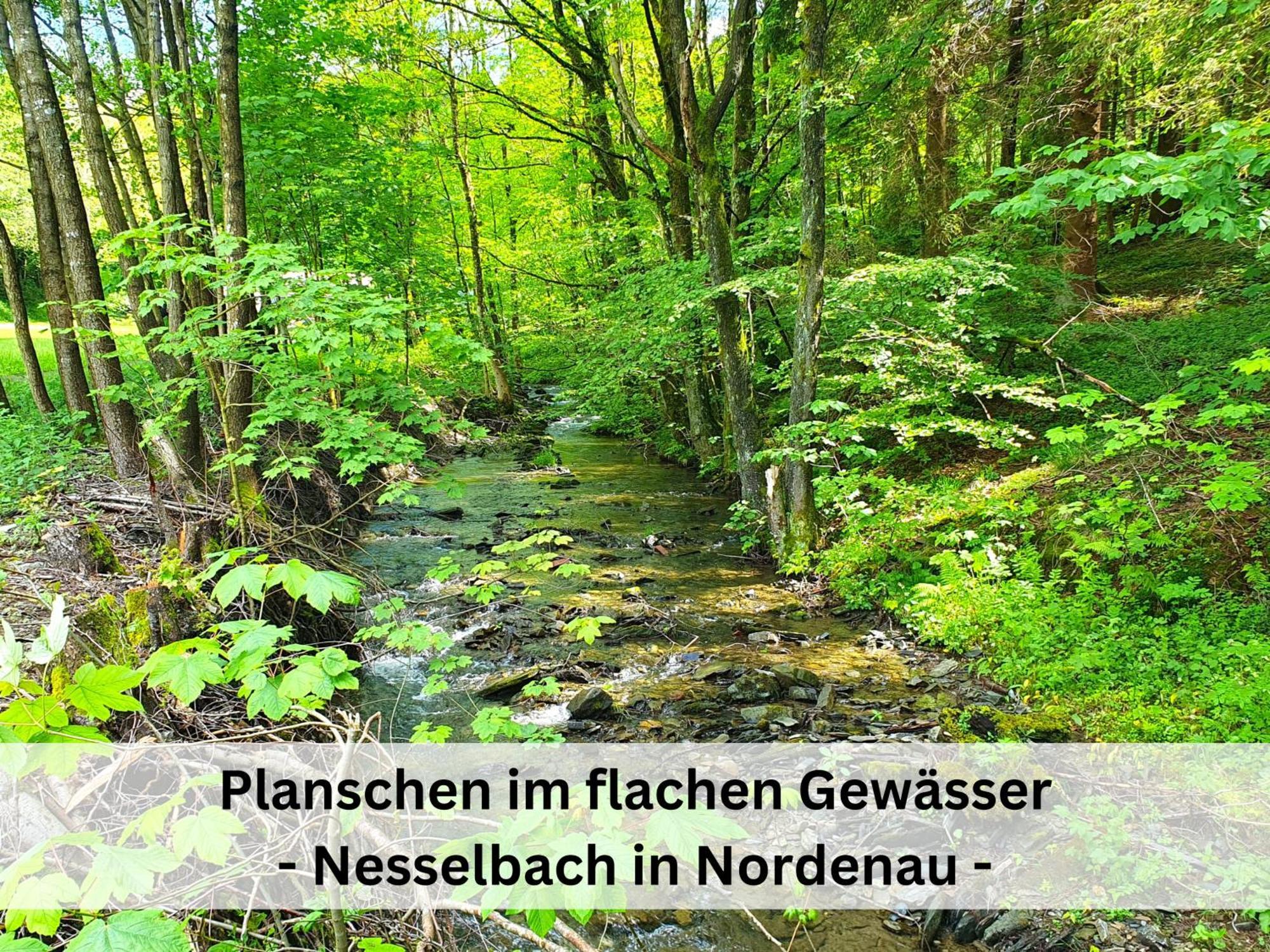 Ferienhaus Grimme - 350M2, 18 Betten - Mit Indoorspielplatz, Pool, Grosser Terrasse, Grill, Sauna, Kicker, Dart, Uvm - Ideal Fuer Familien 슈말렌부르크 외부 사진